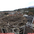 14_05-nest.jpg