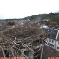 14_10-nest.jpg