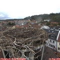 14_15-nest.jpg