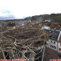14_20-nest.jpg