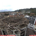 14_25-nest.jpg