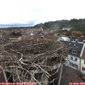 14_30-nest.jpg
