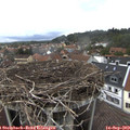 14_35-nest.jpg