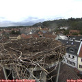 14_40-nest.jpg