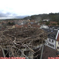 14_45-nest.jpg