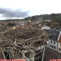 14_55-nest.jpg