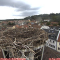 15_00-nest.jpg