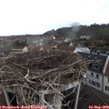15_05-nest.jpg