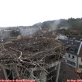 15_10-nest.jpg