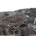 15_15-nest.jpg