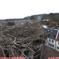 15_25-nest.jpg