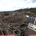 15_35-nest.jpg