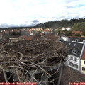 15_40-nest.jpg