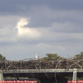 15_45-mast.jpg