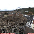 15_45-nest.jpg