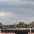 15_55-mast.jpg