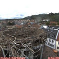 15_55-nest.jpg