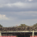 16_00-mast.jpg