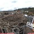 16_00-nest.jpg
