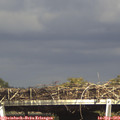 16_05-mast.jpg
