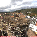 16_05-nest.jpg