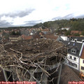16_10-nest.jpg