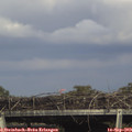 16_15-mast.jpg