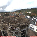 16_15-nest.jpg
