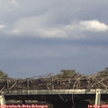16_20-mast.jpg