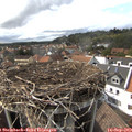 16_20-nest.jpg