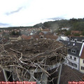 16_25-nest.jpg