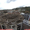 16_30-nest.jpg