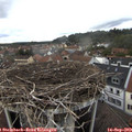 16_35-nest.jpg