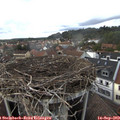 16_40-nest.jpg