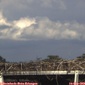 16_45-mast.jpg