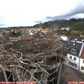 16_45-nest.jpg