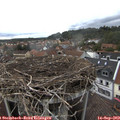 16_55-nest.jpg