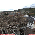 17_00-nest.jpg