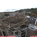 17_10-nest.jpg