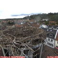 17_15-nest.jpg