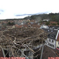17_20-nest.jpg