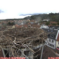 17_25-nest.jpg
