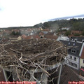 17_35-nest.jpg