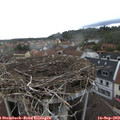 17_40-nest.jpg