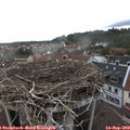 17_45-nest.jpg