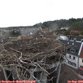 17_55-nest.jpg