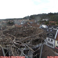 18_00-nest.jpg