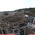 18_05-nest.jpg