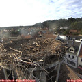 18_15-nest.jpg