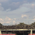 18_20-mast.jpg